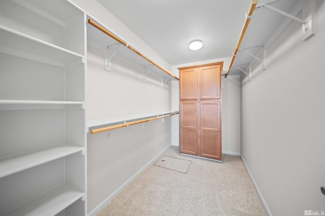 spacious closet featuring light colored carpet