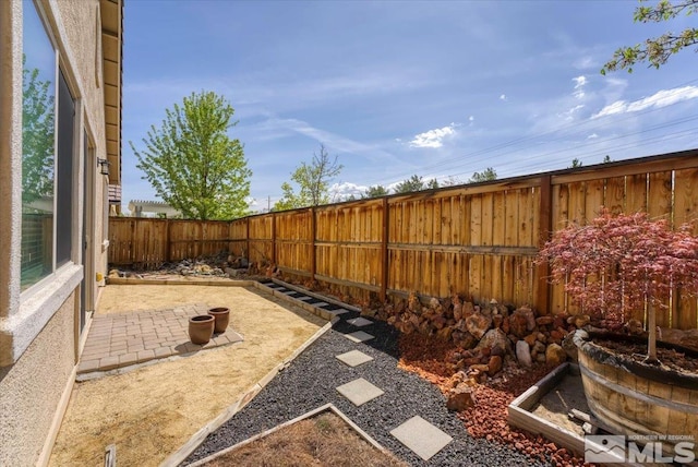 view of yard with a patio area and a fenced backyard