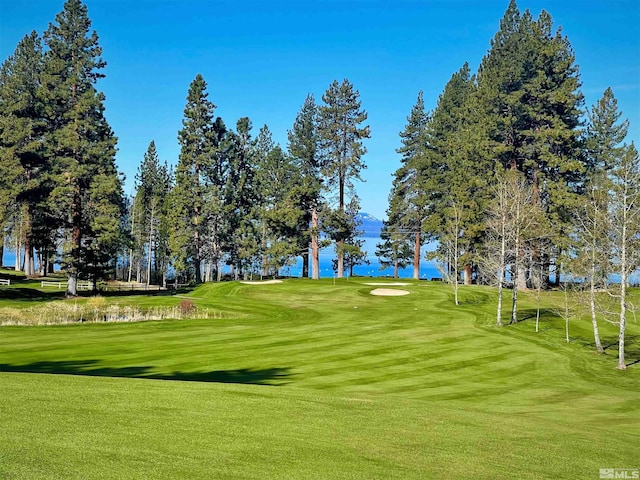view of community featuring a lawn and golf course view