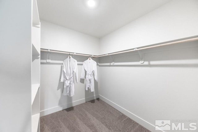 walk in closet with carpet