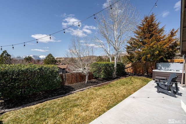 view of yard with a fenced backyard and a patio