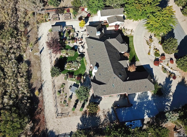 drone / aerial view