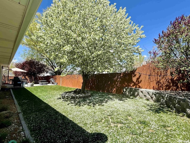 view of yard with a fenced backyard