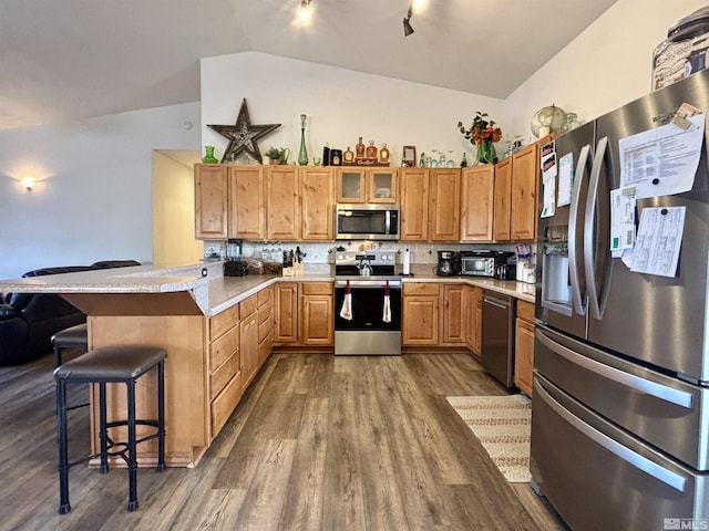 kitchen featuring appliances with stainless steel finishes, dark wood-type flooring, a peninsula, and lofted ceiling