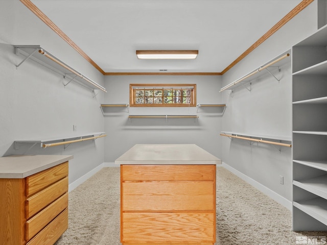 spacious closet with carpet floors
