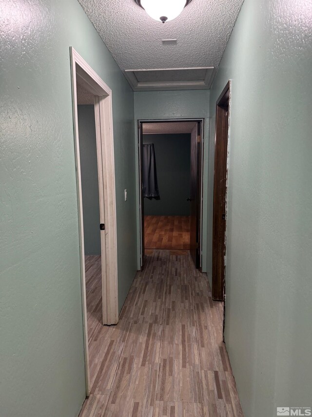 hall featuring a textured ceiling, attic access, and light wood-style floors