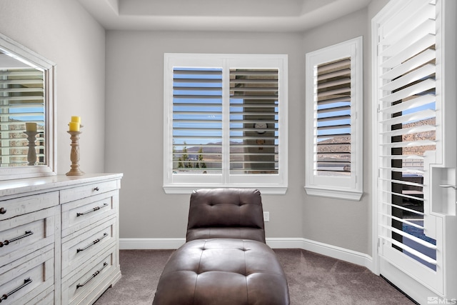 sitting room with carpet flooring, baseboards, and plenty of natural light