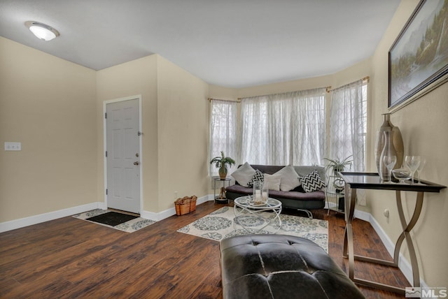 living area with baseboards, a wealth of natural light, and wood finished floors
