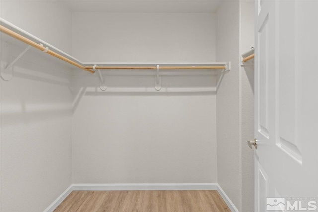 walk in closet with wood finished floors