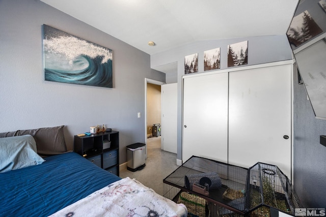 bedroom with vaulted ceiling and a closet