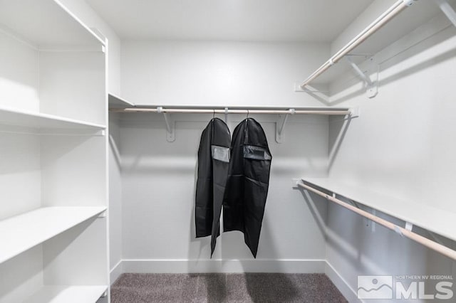 spacious closet with carpet
