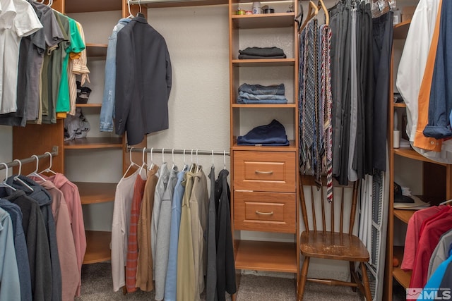 spacious closet with carpet flooring