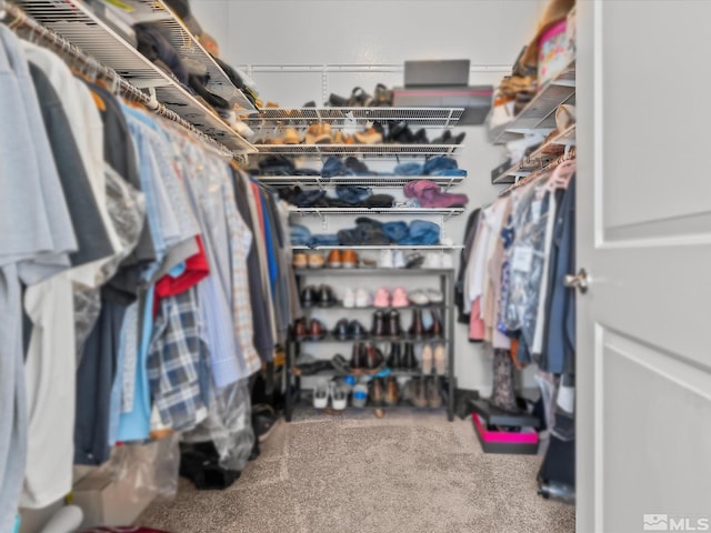 view of spacious closet