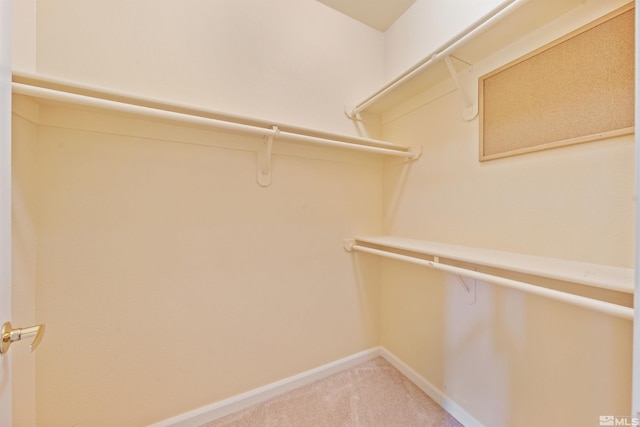 spacious closet featuring light colored carpet