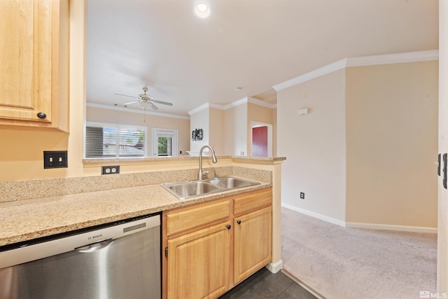 kitchen with stainless steel dishwasher, a ceiling fan, ornamental molding, dark carpet, and a sink