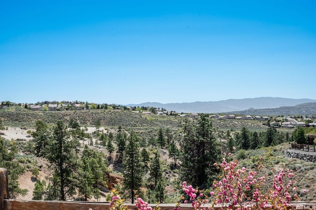 view of mountain feature