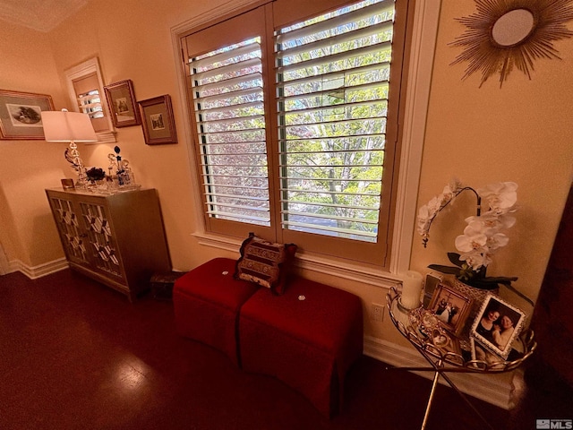 living area featuring baseboards