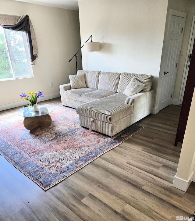 living room featuring wood finished floors and baseboards