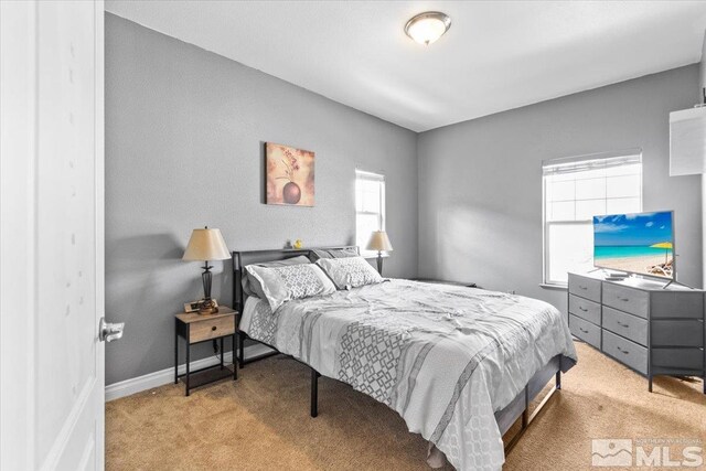 bedroom featuring baseboards and carpet