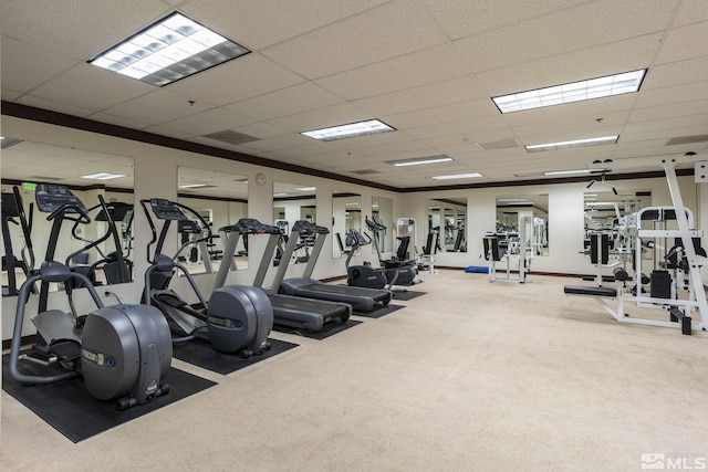 gym with carpet flooring and a paneled ceiling