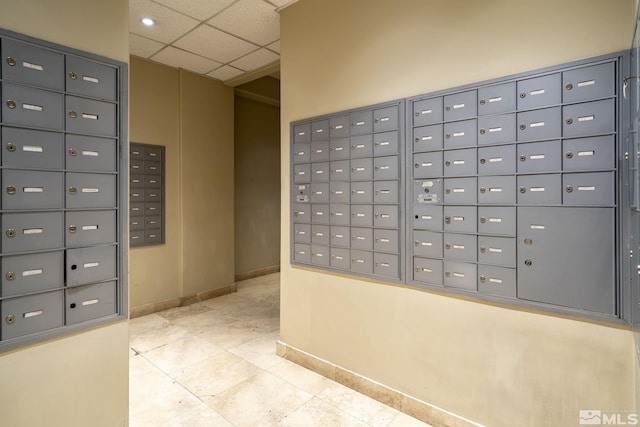 surrounding community with mail area and a drop ceiling