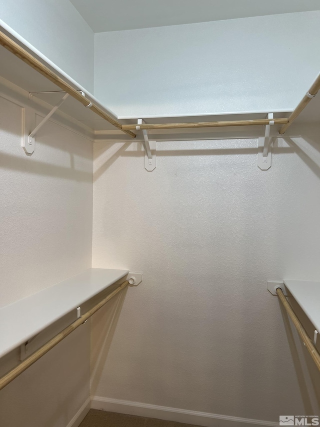 view of walk in closet