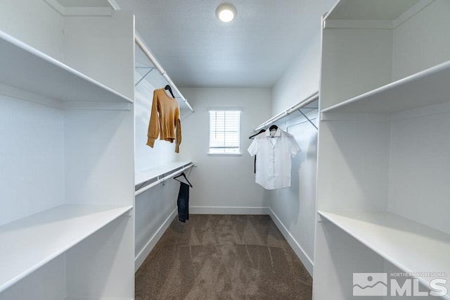spacious closet with carpet