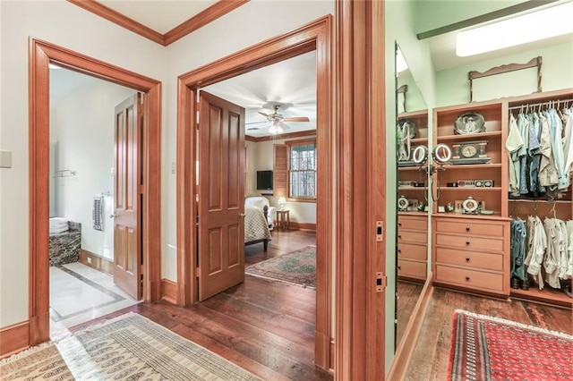 corridor with dark hardwood / wood-style flooring and ornamental molding