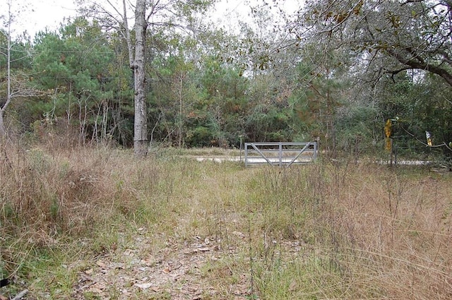 Neslo Rd, Slidell, LA 70460 - photo 4