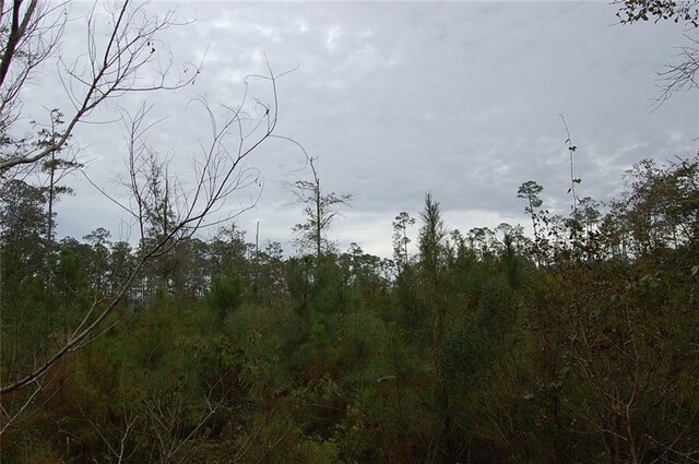 Neslo Rd, Slidell, LA 70460 - photo 5