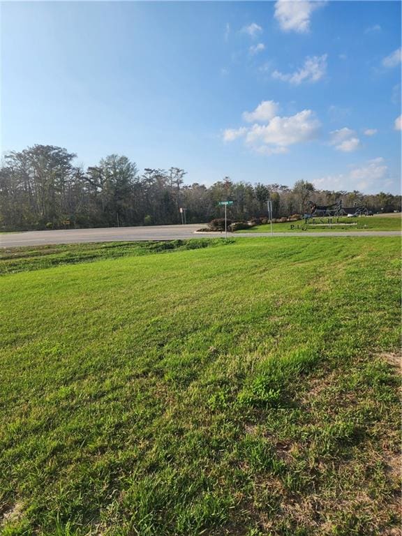 989 S Fashion Blvd, Hahnville LA, 70057 land for sale