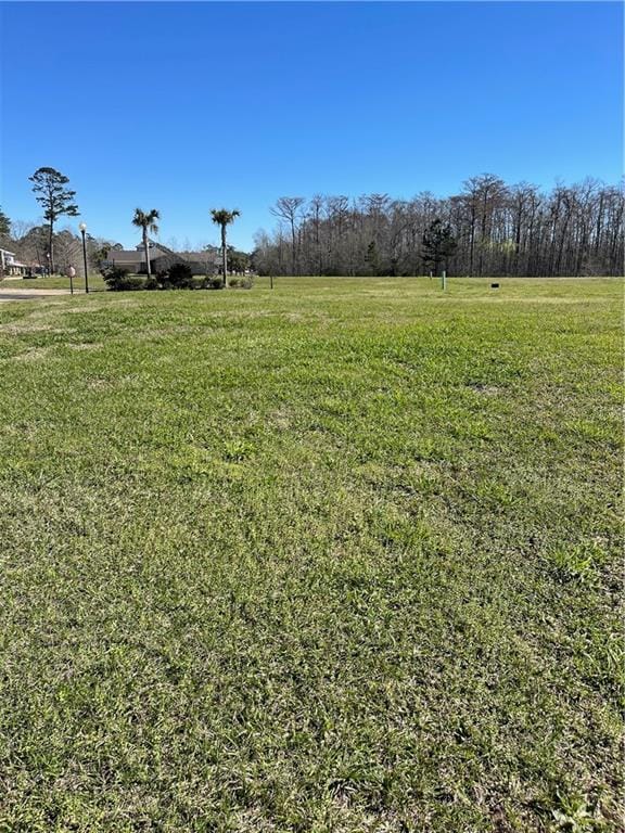 21565 Blue Marlin Dr, Springfield, LA 70462 - photo 1