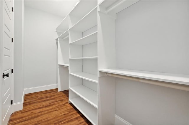 spacious closet with dark hardwood / wood-style floors