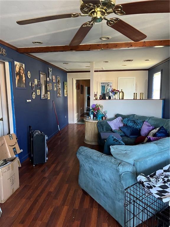 living room featuring ceiling fan and dark hardwood / wood-style floors