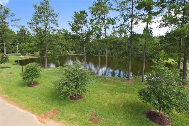 Listing photo 3 for 23082 Mallards Row, Robert LA 70455