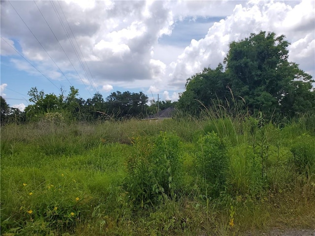 Elmwood Park Dr, New Orleans LA, 70114 land for sale