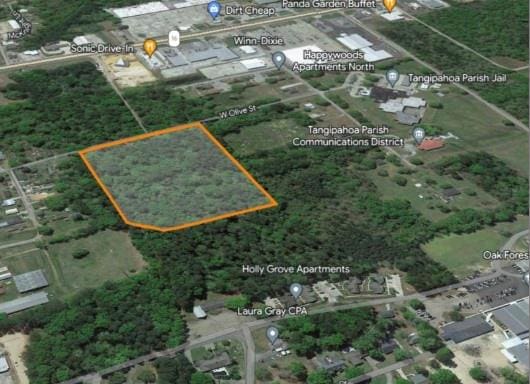 W Olive St, Amite LA, 70422 land for sale