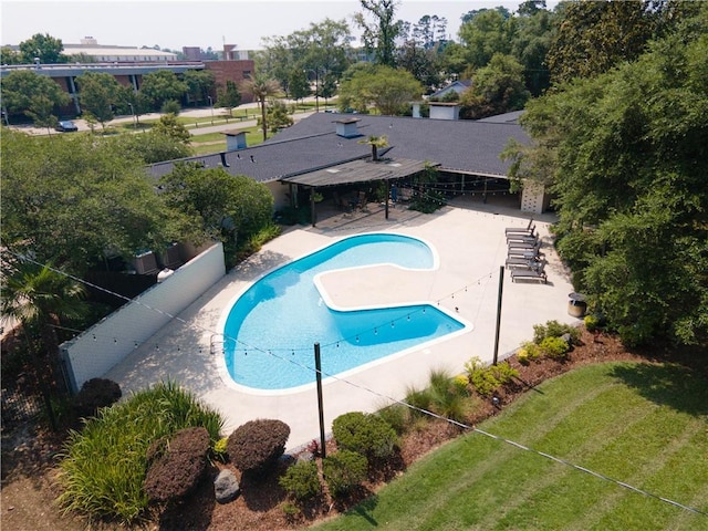 view of pool featuring a patio