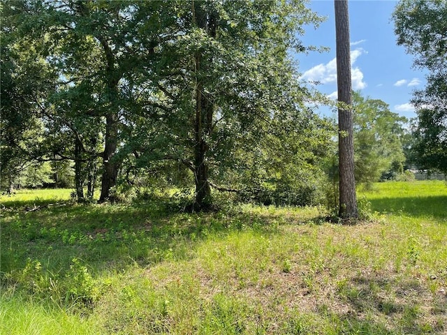 Rene Dr, Ponchatoula LA, 70454 land for sale