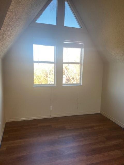 additional living space with lofted ceiling, dark hardwood / wood-style floors, and a textured ceiling