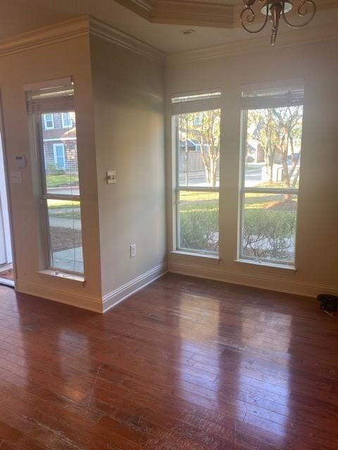 spare room featuring dark hardwood / wood-style floors and a wealth of natural light