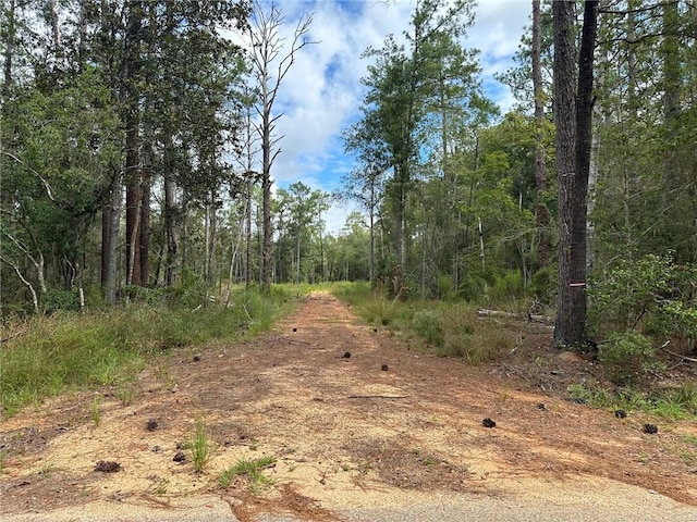 79356 Delaune Rd, Folsom LA, 70437 land for sale