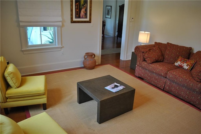 living room featuring dark hardwood / wood-style flooring