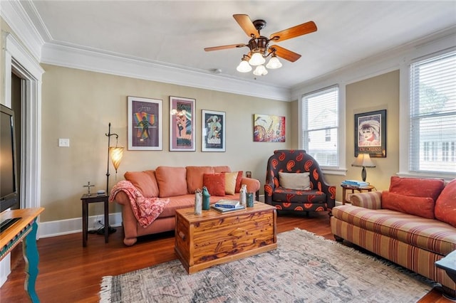 living room with ceiling fan, crown molding, and dark wood-type flooring