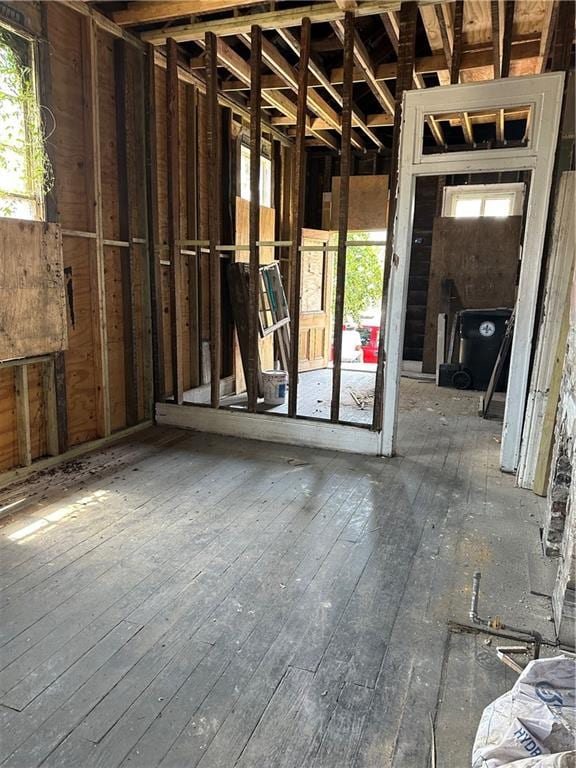 misc room featuring dark hardwood / wood-style flooring and a wealth of natural light