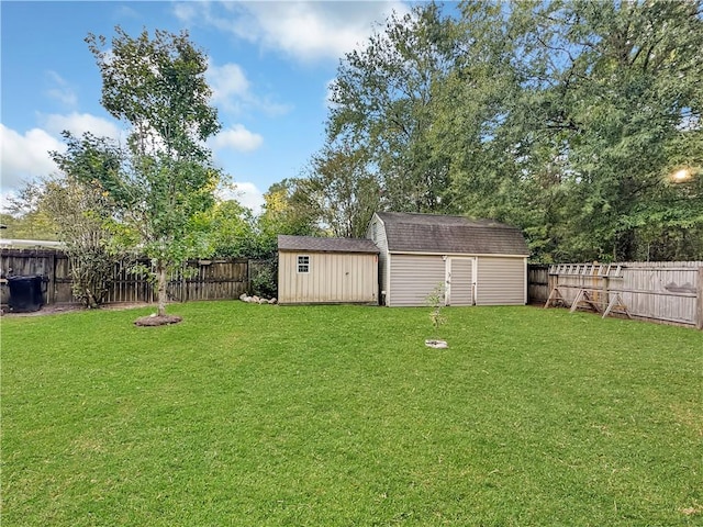 view of yard featuring a shed