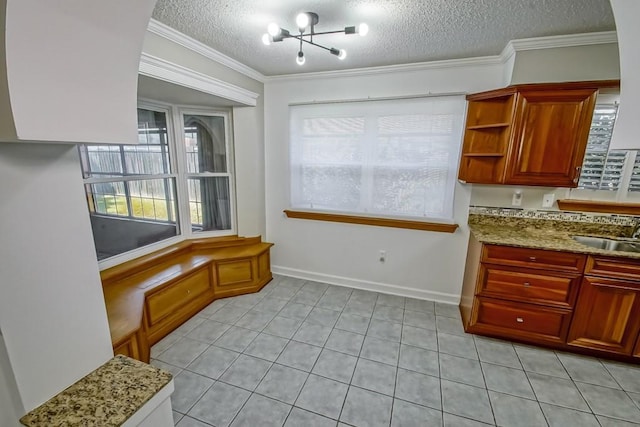 kitchen with ornamental molding, plenty of natural light, a sink, and a textured ceiling