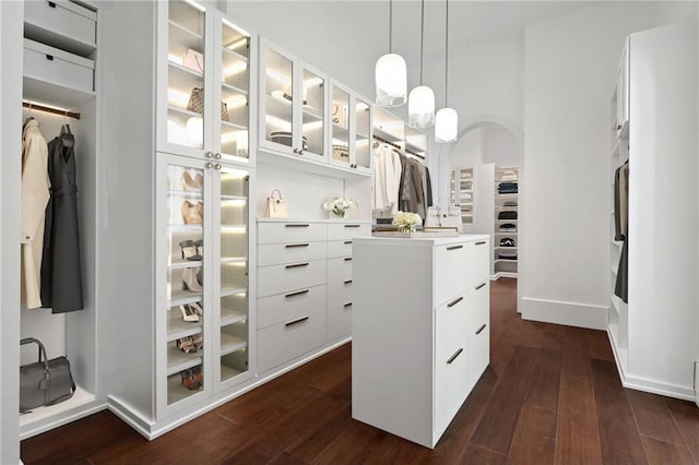 walk in closet with dark hardwood / wood-style floors