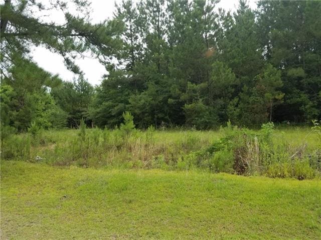 82397 Bush Vineyard Ln, Bush LA, 70431 land for sale