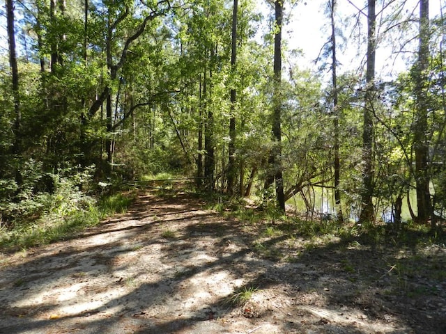 Listing photo 2 for TBD Pat Fitzmorris Rd, Bush LA 70431